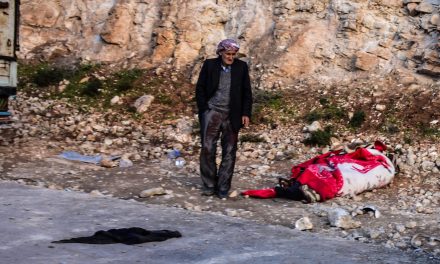 “Rastiya dewletan li Efrînê aşkera dibe”