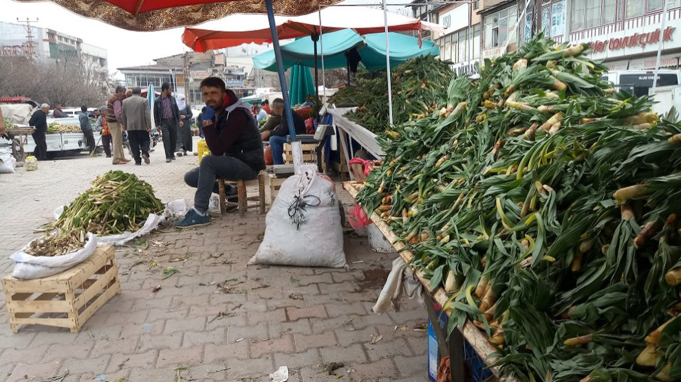 Dema kereng, gulik û rêwasê