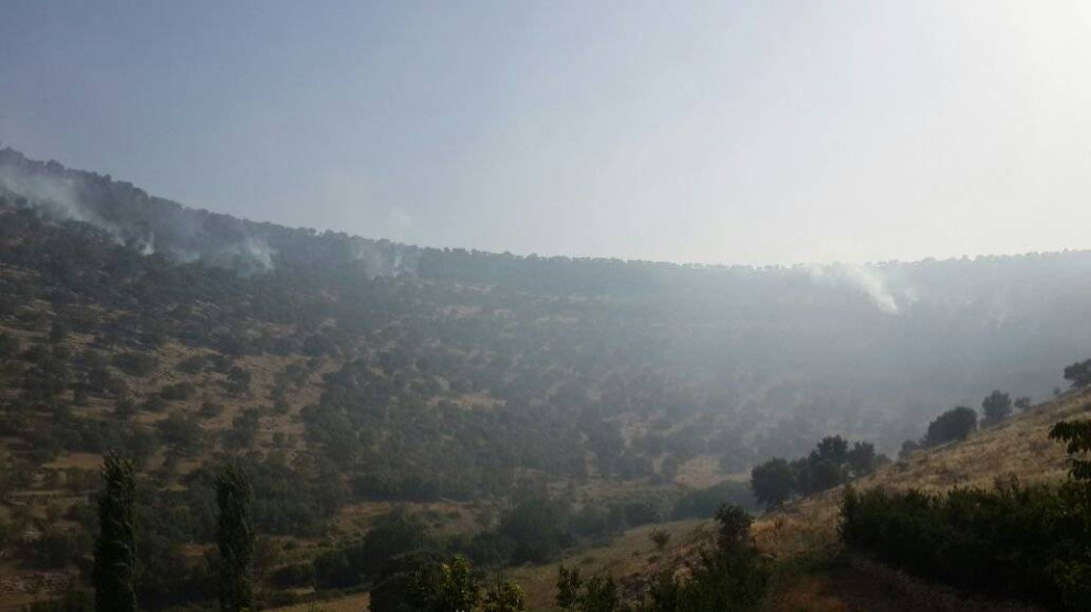 Welatiyên Omeryanê ji bo tefandina şewatê banga alîkariyê kirin