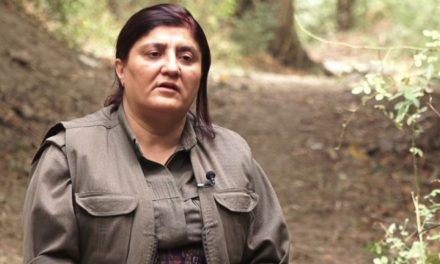 Erzîncan: Ne tenê dijderketin e, her wiha avakirin e