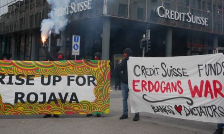 Ji 12 welatan 41 rêxistinên şoreşger: Em faşîzma Tirk têk bibin!