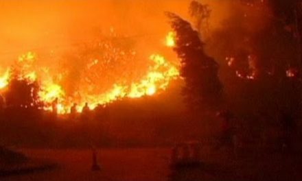 Li Şîlî ji ber şewatê bi sedan xanî şewitîn, bi hezaran bê elektrîk man