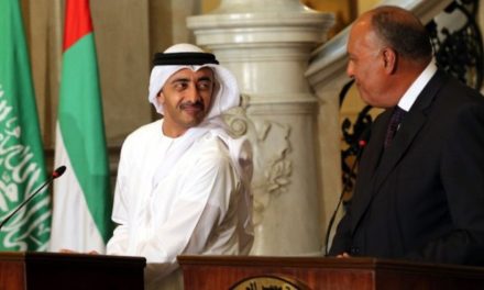 Misir û Îmarat li dijî destwerdana Tirkiye ya li Libya derketin