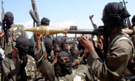 Çeteyên Boko Haram li Nîjeryayê herî kêm 14 gundî qetil kir