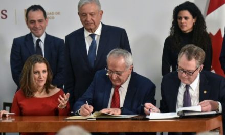 Şandina leşkeran a li ser sînorê Meksîka bû mijara lêpirsînê