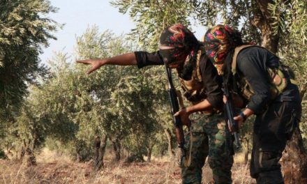 HRE: Leşkerekî Tirk û çeteyek hatin kuştin