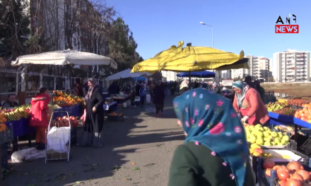 Esnafên jin ne tenê li dijî krîzê li ber xwe didin