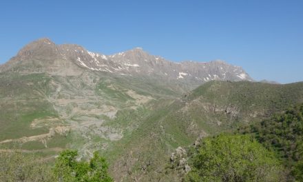 Li perçekirina ciwanên Kurd temaşe kirin