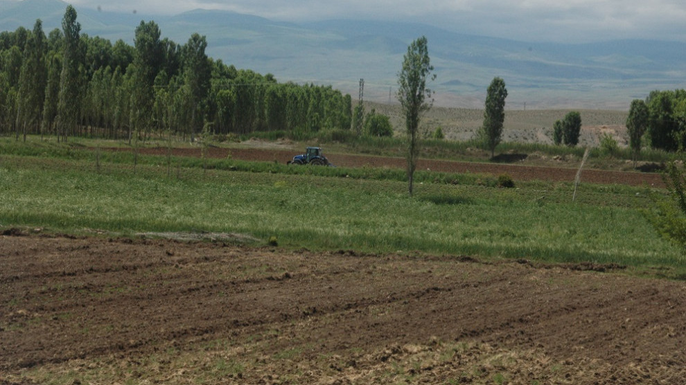 Geliyê Îdirê di bin gefa tinebûnê de ye