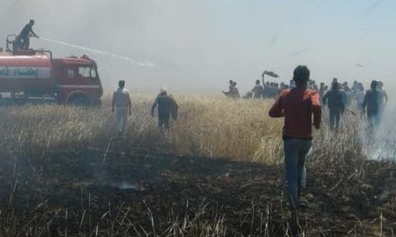 Dewleta Tirk qadeke ji 100 hezar donimî ya çandiniyê şewitand