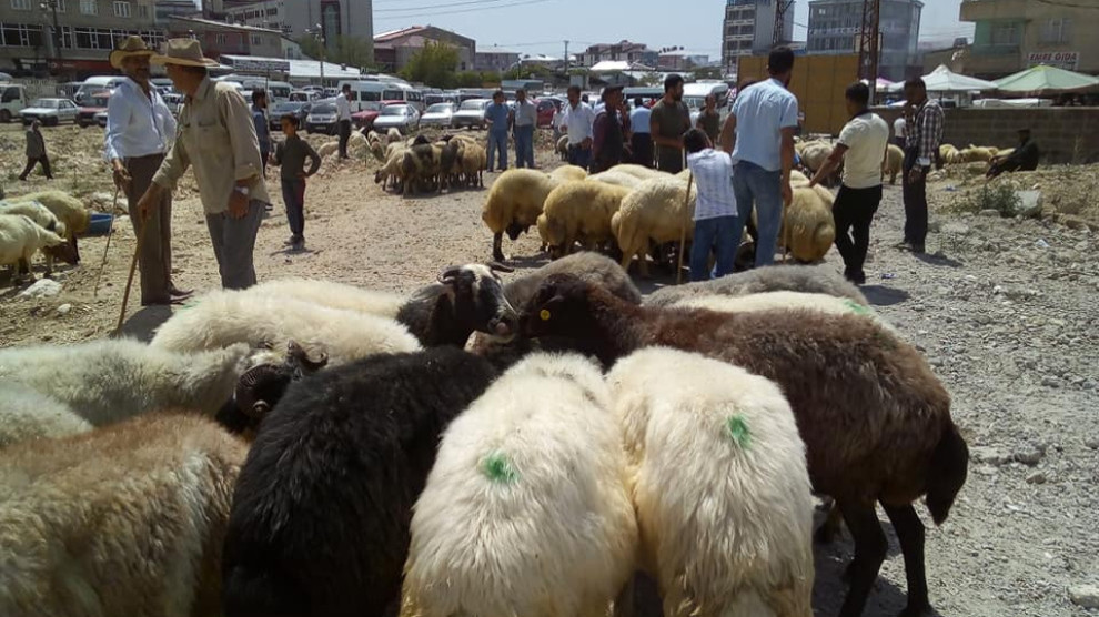 Vê cejnê bi xisar jî nikarin lawiran bifiroş in