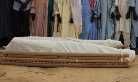 Boko Haram êrîşên xwe yên li dora Gola Çadê zêde dike