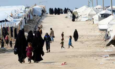 Nerazîbûnên li hemberî polîtîkaya Swêdê ya derbarê El Holê zêde dibe