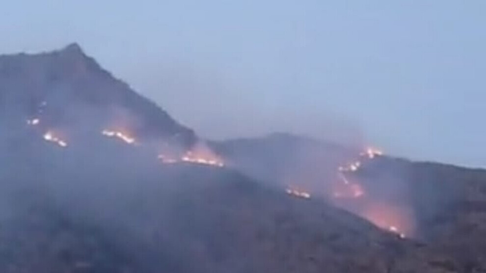 Li Şemzînanê agir bi daristana li gundê Nêrkoleyê ket