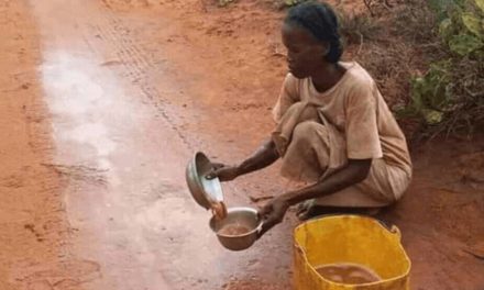 Li Madagaskarê ji sala 1991’ê û vir ve krîza herî giran a xwarinê rû daye