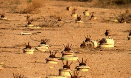 Di nava 5 salan de li Iraqê 519 zarok ji ber mayînan mirine yan birîndar bûne