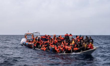 Li Behra Spî di 3 rojên dawîn de 235 penaber hatin rizgarkirin