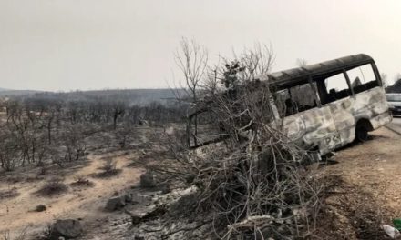 Li Cezayîrê di şewata daristanan de herî kêm 43 kes mirin