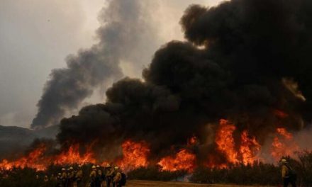 Li Kalîforniyayê agir bi daristanê ket: 11 hezar kes ji qadê hatin derxistin
