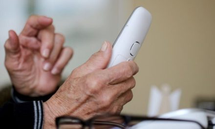 Çeteyên Tirk 8,4 milyon eûroyên kal û pîrên Elman desteser kirin