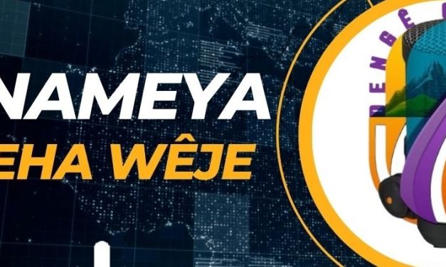 2024-06-11 – DERGEHA WÊJEYÊ-MODERATOR-ROZA METÎNA
