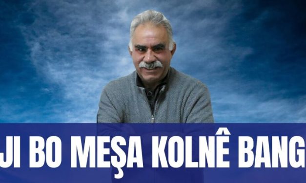 Nûnerên Saziyên Kurdan ên li Ewrupayê ji bo meşa 17’ê Sibatê bang kirin