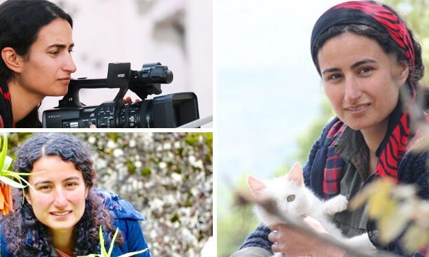 Li her dera Şêngalê şopên Nûjiyanê hene