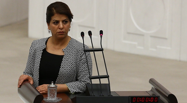 Sibel Yigitalp: Israra di tecrîdê de israra di şer de ye