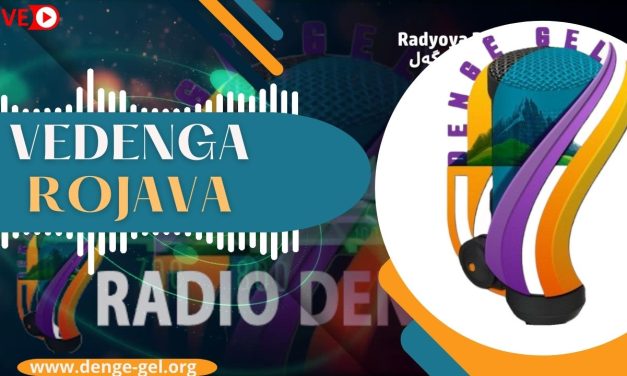 2024-05-25 -VEDENGA ROJAVA-MOD KURDIYAR DIRÊHÎ–MÊVAN: SEMA BEGTAŞ-MIJAR: HILBIJARTINÊN ŞAREDARIYAN 