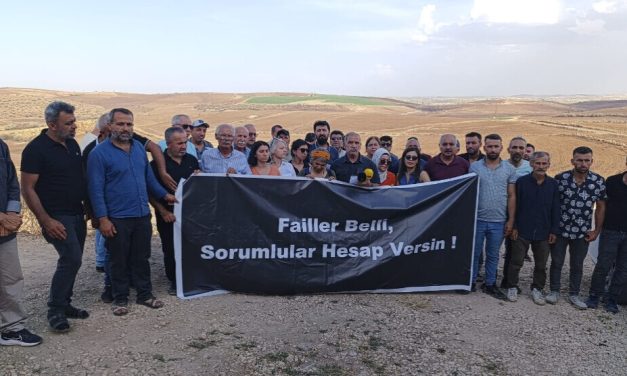 Ekolojîstên li herêma şewatê: Sedema şewatê DEDAŞ e