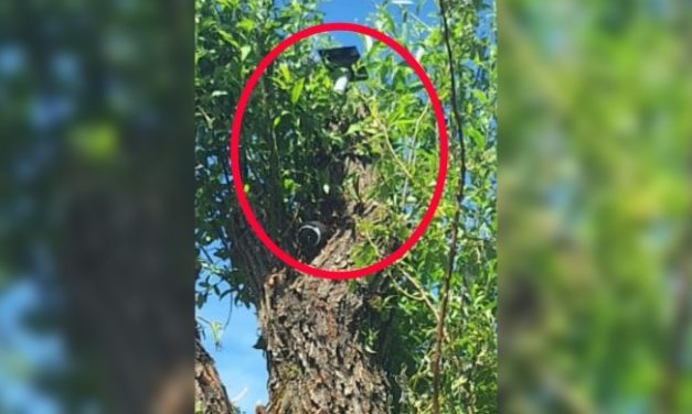 Dewleta tirk a dagirkeran li Amedê navçeya Pîranê li ber kaniyeke ave kamera bi cîh kir.