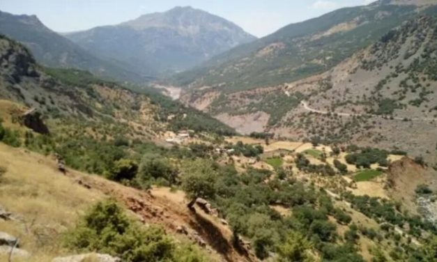 Li Bedlîs û Sêrtê operasyon: Daristan tên bombebarankirin
